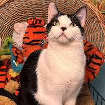 Thumbnail photo of Greta T #2