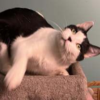 Thumbnail photo of Greta T #3