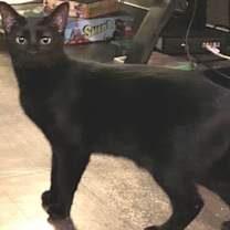 Thumbnail photo of Ella Fitz Grrald #2