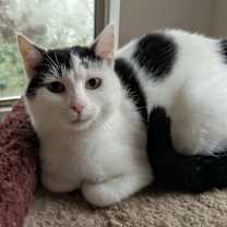 Thumbnail photo of Caitlin #3