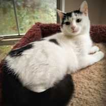 Thumbnail photo of Caitlin #4
