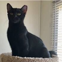 Thumbnail photo of Tootsie Roll #1