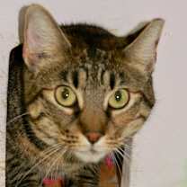 Thumbnail photo of Mimi #1