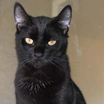Thumbnail photo of Travis #1