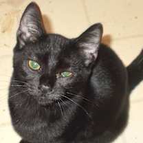 Thumbnail photo of Travis #2
