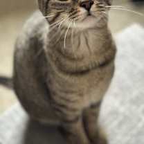 Thumbnail photo of Carlie #1