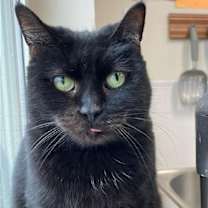 Thumbnail photo of Buster #1