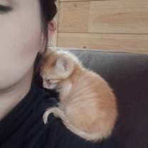 Thumbnail photo of Oliver #2