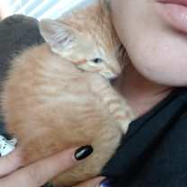Thumbnail photo of Oliver #3