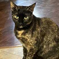 Thumbnail photo of Shelly #2