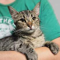 Thumbnail photo of Hadley #1