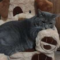Thumbnail photo of Carlita #1