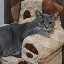 Thumbnail photo of Carlita #2