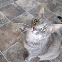 Thumbnail photo of Carlita #3