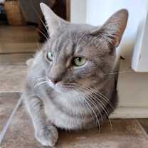 Thumbnail photo of Carlita #4