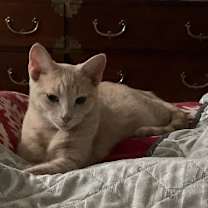 Thumbnail photo of Meadow #2