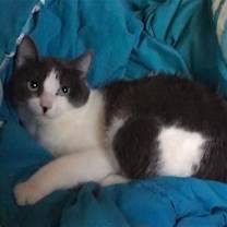 Thumbnail photo of Sasha #3