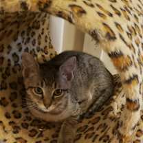 Thumbnail photo of Jacque #2