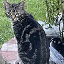 Thumbnail photo of Flynn #1