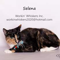 Thumbnail photo of SELENA #1