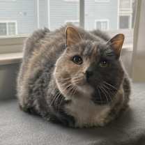 Thumbnail photo of Katie #1