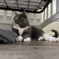 Thumbnail photo of Katie #2
