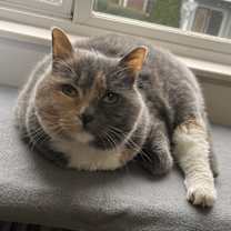 Thumbnail photo of Katie #3
