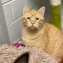 Thumbnail photo of Liam #3