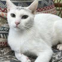 Thumbnail photo of Lizzie #1