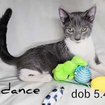 Thumbnail photo of Sundance #1