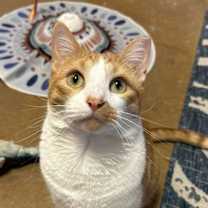 Thumbnail photo of Jake #3