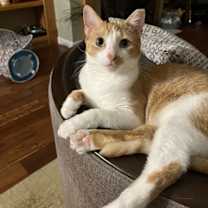 Thumbnail photo of Jake #4