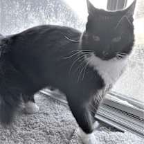 Thumbnail photo of Friskey #3