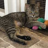 Thumbnail photo of Patsy #3
