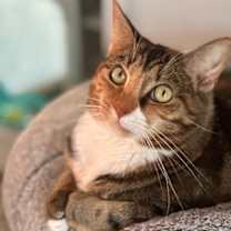 Thumbnail photo of DEMI #1