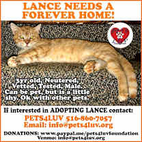 Thumbnail photo of Lance #4