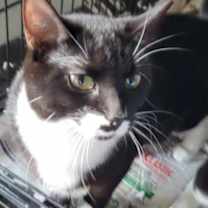 Thumbnail photo of Luna #1