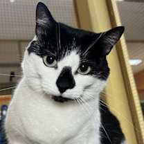 Thumbnail photo of Gracie #1