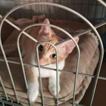 Thumbnail photo of High-Five #1