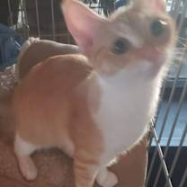 Thumbnail photo of High-Five #4