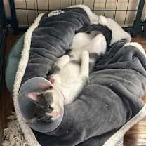 Thumbnail photo of Jack #2