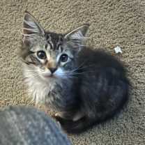 Thumbnail photo of Squinty  #1