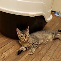 Thumbnail photo of Jacque #3