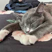 Thumbnail photo of Oliver #1