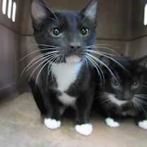 Thumbnail photo of Galindo #2