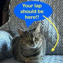 Thumbnail photo of Lass #4