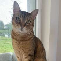 Thumbnail photo of Charlotte #2