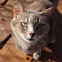 Thumbnail photo of Lexi #2