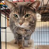 Thumbnail photo of Chloie #1