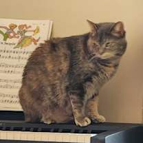 Thumbnail photo of Chloie #3